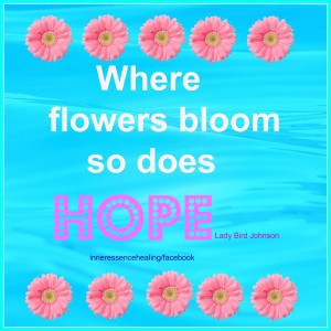 where flowers bloom